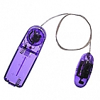 Vibrators with Wired Controller